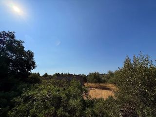 Αγροτεμάχια 35.000 τ.μ. για πώληση, Αργολίδα, Κρανίδι-thumb-8