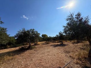 Αγροτεμάχια 35.000 τ.μ. για πώληση, Αργολίδα, Κρανίδι-thumb-9