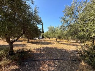 Αγροτεμάχια 35.000 τ.μ. για πώληση, Αργολίδα, Κρανίδι-thumb-10