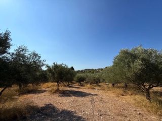 Αγροτεμάχια 35.000 τ.μ. για πώληση, Αργολίδα, Κρανίδι-thumb-13