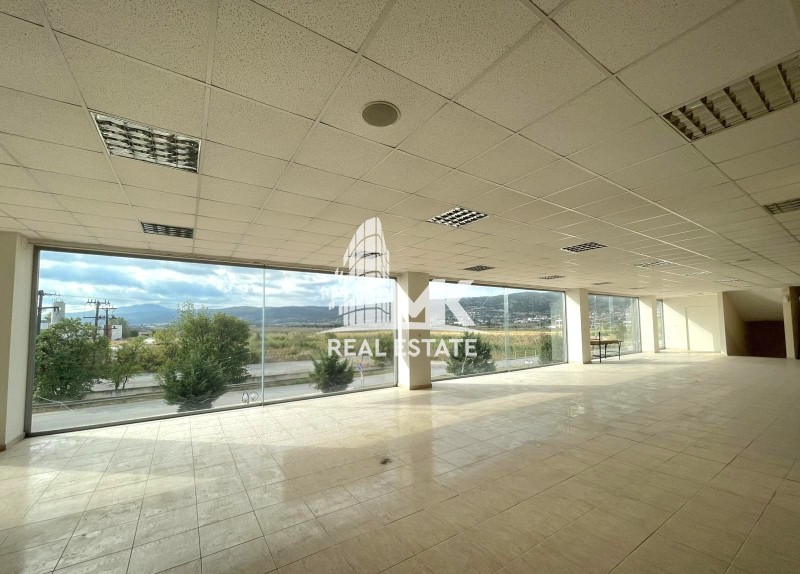 Επιχειρηματικό κτίριο 5.000 τ.μ. προς ενοικίαση, Κέντρο Λαγκαδά