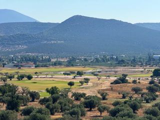Αγροτεμάχια 26.270 τ.μ. για πώληση