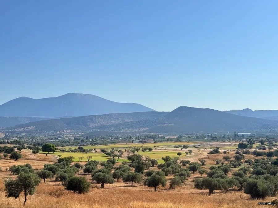 Αγροτεμάχια 26.270 τ.μ. πρός πώληση, Αργολίδα, Κρανίδι