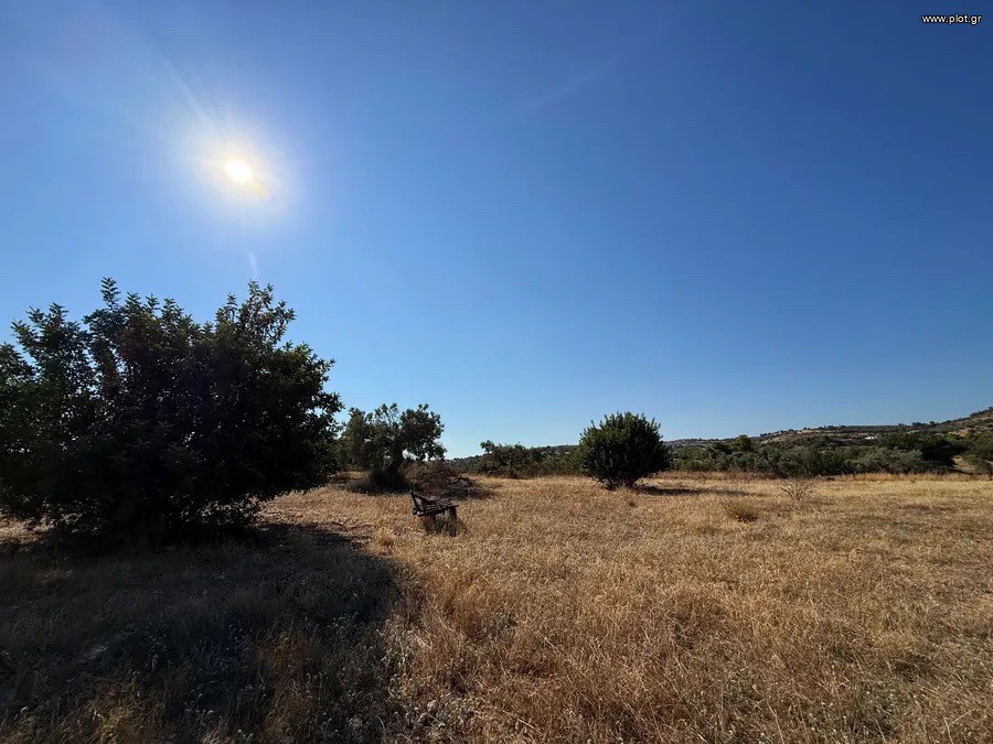Αγροτεμάχια 26.270 τ.μ. πρός πώληση, Αργολίδα, Κρανίδι