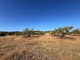 Αγροτεμάχια 26.270 τ.μ. προς πώληση, Αργολίδα, Κρανίδι-thumb-6