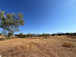 Αγροτεμάχια 26.270 τ.μ. προς πώληση, Αργολίδα, Κρανίδι-thumb-7