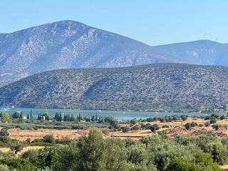Αγροτεμάχια 26.270 τ.μ. προς πώληση, Αργολίδα, Κρανίδι-thumb-10