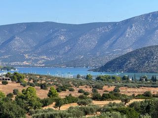 Αγροτεμάχια 26.270 τ.μ. προς πώληση, Αργολίδα, Κρανίδι-thumb-11
