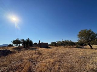 Αγροτεμάχια 26.270 τ.μ. προς πώληση, Αργολίδα, Κρανίδι-thumb-14