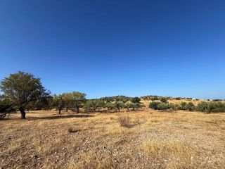 Αγροτεμάχια 26.270 τ.μ. προς πώληση, Αργολίδα, Κρανίδι-thumb-16