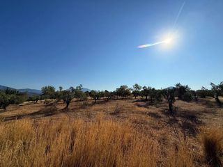 Αγροτεμάχια 26.270 τ.μ. προς πώληση, Αργολίδα, Κρανίδι-thumb-20