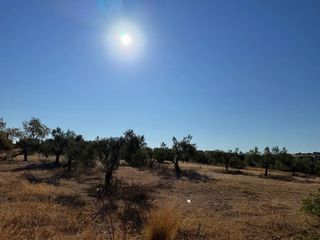 Αγροτεμάχια 26.270 τ.μ. προς πώληση, Αργολίδα, Κρανίδι-thumb-21
