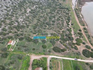 Αγροτεμάχια 37.417 τ.μ. για πώληση, Αργολίδα, Κρανίδι-thumb-10