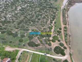 Αγροτεμάχια 37.417 τ.μ. για πώληση, Αργολίδα, Κρανίδι-thumb-12