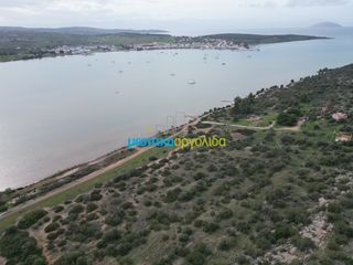 Αγροτεμάχια 37.417 τ.μ. για πώληση, Αργολίδα, Κρανίδι-thumb-22