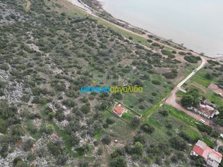 Αγροτεμάχια 37.417 τ.μ. για πώληση, Αργολίδα, Κρανίδι-thumb-7