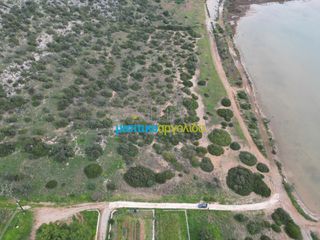 Αγροτεμάχια 37.417 τ.μ. για πώληση, Αργολίδα, Κρανίδι-thumb-11