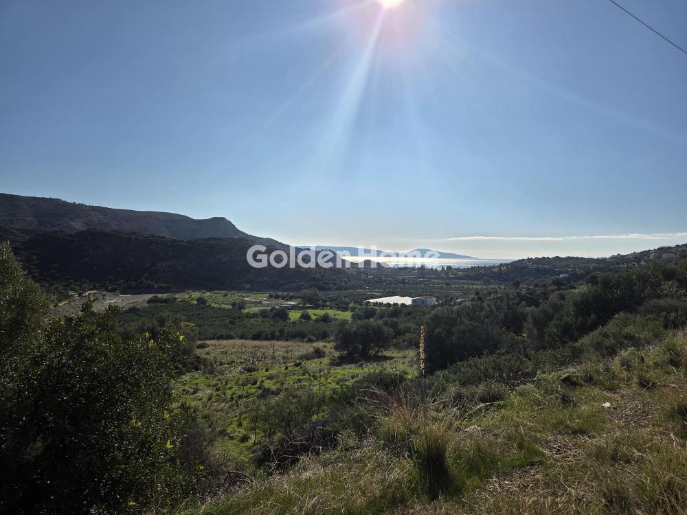 Οικόπεδο 29.000 τ.μ. πρός πώληση, Ν. Ρεθύμνου, Λάμπη