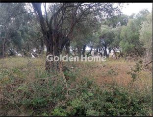 Οικόπεδο 1.138 τ.μ. για πώληση