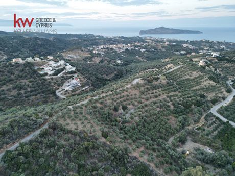 Οικόπεδο 6.925,29 τ.μ. προς πώληση