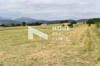 Αγροτεμάχια 40.000 τ.μ. για πώληση