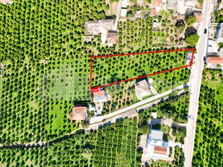 Οικόπεδο 2.279 τ.μ. για πώληση, Αργολίδα, Μιδέα-thumb-12