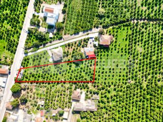 Οικόπεδο 2.279 τ.μ. για πώληση, Αργολίδα, Μιδέα-thumb-10