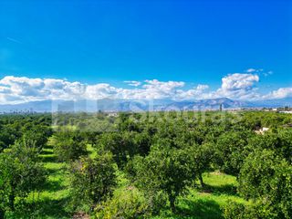 Οικόπεδο 2.279 τ.μ. για πώληση, Αργολίδα, Μιδέα-thumb-3