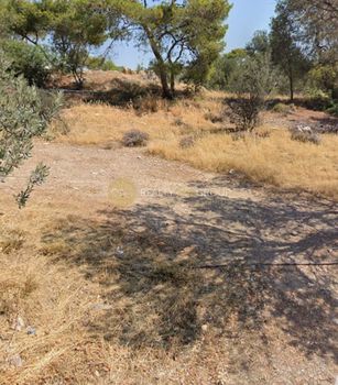Οικόπεδο 1.230 τ.μ. για πώληση