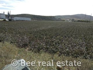Αγροτεμάχια 80.000 τ.μ. για πώληση