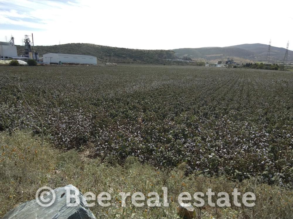 Αγροτεμάχια 80.000 τ.μ. πρός πώληση, Μαγνησία, Φερών