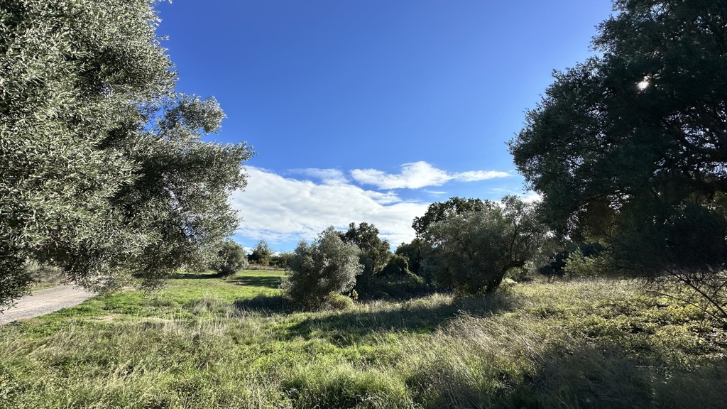 Αγροτεμάχια 3.300 τ.μ. πρός πώληση, Χαλκιδική, Κασσάνδρα