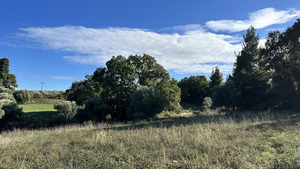 Αγροτεμάχια 3.300 τ.μ. πρός πώληση, Χαλκιδική, Κασσάνδρα