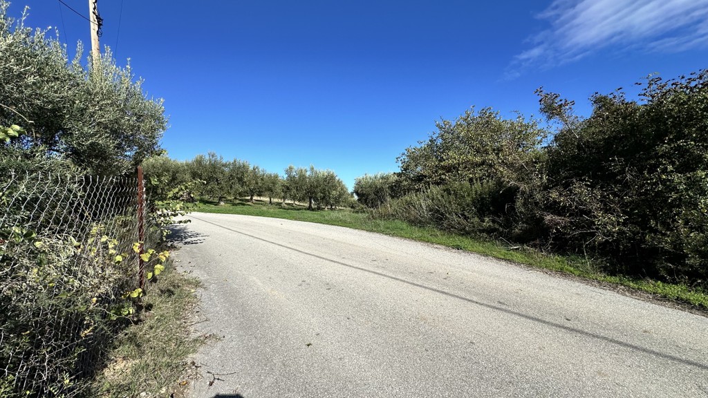 Αγροτεμάχια 2.200 τ.μ. πρός πώληση, Χαλκιδική, Κασσάνδρα