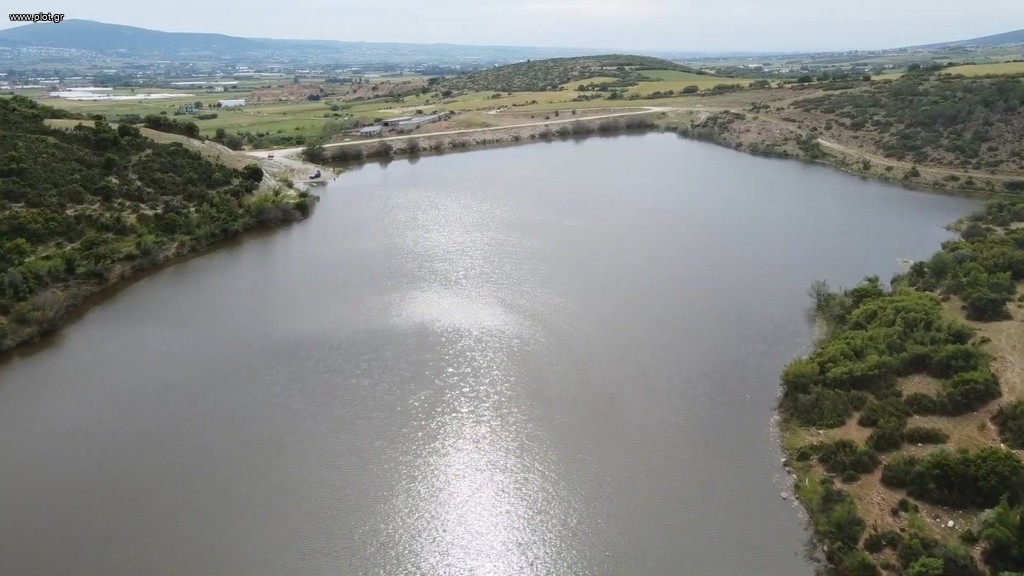 Αγροτεμάχια 5.000 τ.μ. προς πώληση, Κέντρο Βασιλικών
