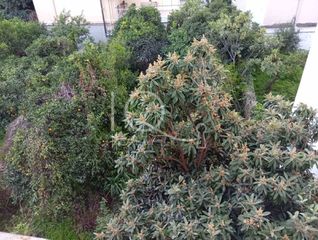 Διαμέρισμα 240 τ.μ. για πώληση, Μεσσηνία, Καλαμάτα-thumb-17