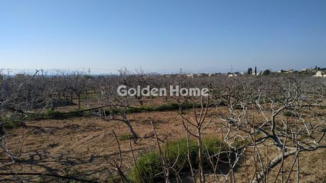 Οικόπεδο 1.000τ.μ. για πώληση-Αίγινα » Λιβάδι