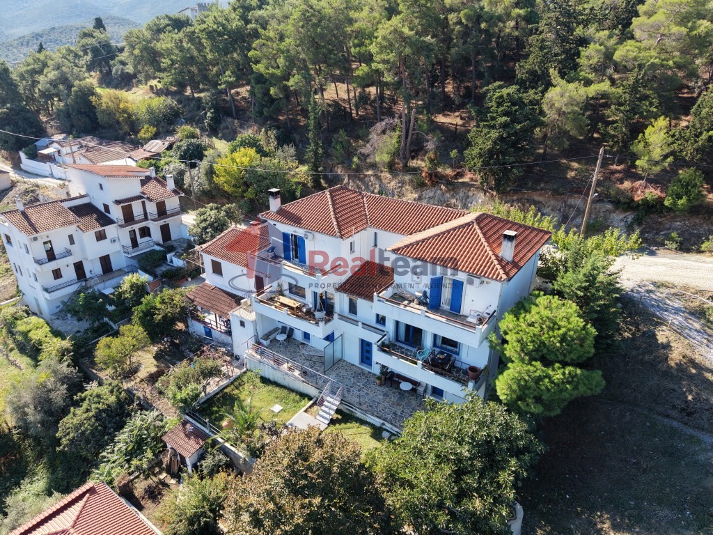 Μονοκατοικία 195 τ.μ. πρός πώληση, Μαγνησία, Σούρπη
