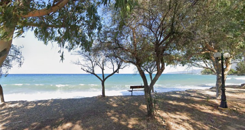 Οικόπεδο 4.741 τ.μ. προς πώληση, Ροδιά Διακοπτού
