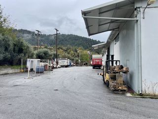 Αποθήκη 6.500 τ.μ. για πώληση, Ν. Καβάλας, Θάσος-thumb-8