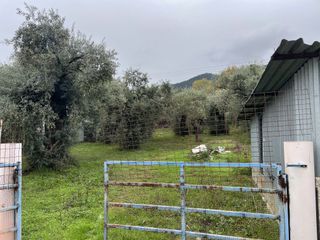 Αποθήκη 6.500 τ.μ. για πώληση, Ν. Καβάλας, Θάσος-thumb-22
