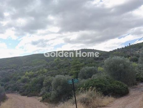 Parcel 4.450sqm for sale-Marathonas » Sesi