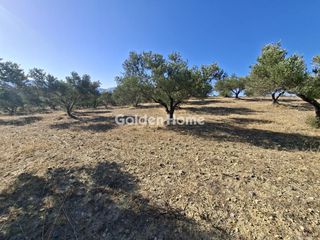 Οικόπεδο 9.200 τ.μ. για ενοικίαση, Ν. Ηρακλείου, Αρκαλοχώρι-thumb-6