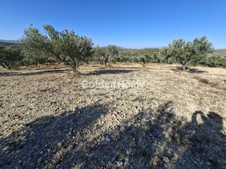 Οικόπεδο 9.200 τ.μ. για ενοικίαση, Ν. Ηρακλείου, Αρκαλοχώρι-thumb-12
