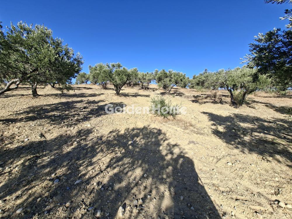 Οικόπεδο 9.200 τ.μ. προς ενοικίαση, Γαρίπα