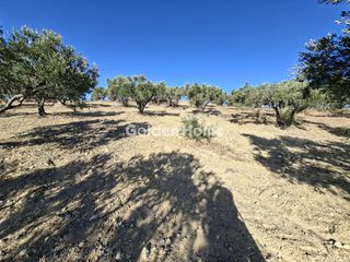Οικόπεδο 9.200 τ.μ. για ενοικίαση, Ν. Ηρακλείου, Αρκαλοχώρι-thumb-2