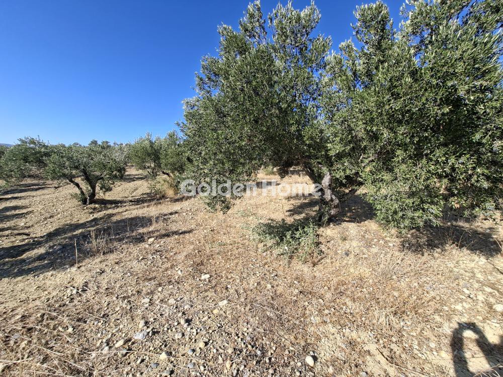Οικόπεδο 9.200 τ.μ. προς ενοικίαση, Γαρίπα