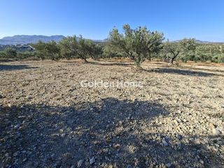 Οικόπεδο 9.200 τ.μ. για ενοικίαση, Ν. Ηρακλείου, Αρκαλοχώρι-thumb-10
