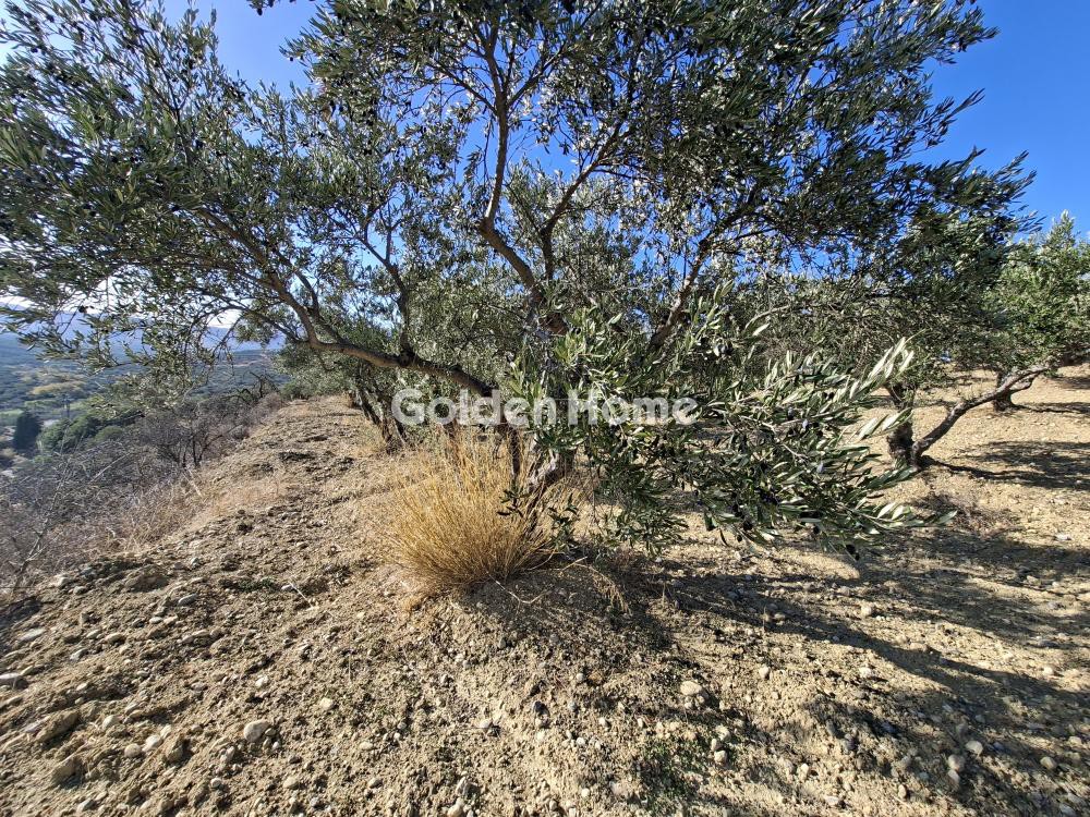 Οικόπεδο 9.200 τ.μ. προς ενοικίαση, Γαρίπα
