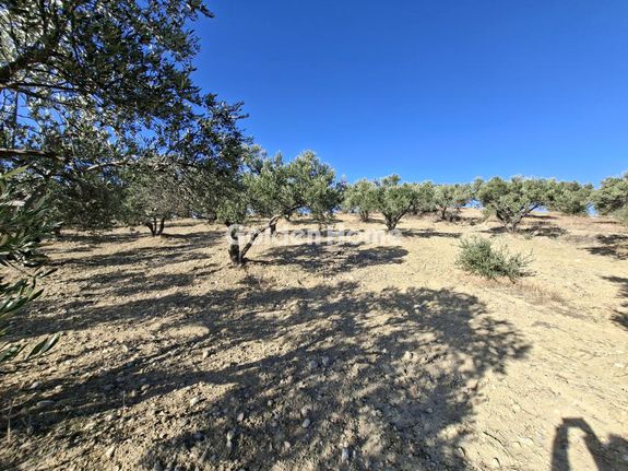 Οικόπεδο 9.200 τ.μ. για ενοικίαση, Ν. Ηρακλείου, Αρκαλοχώρι